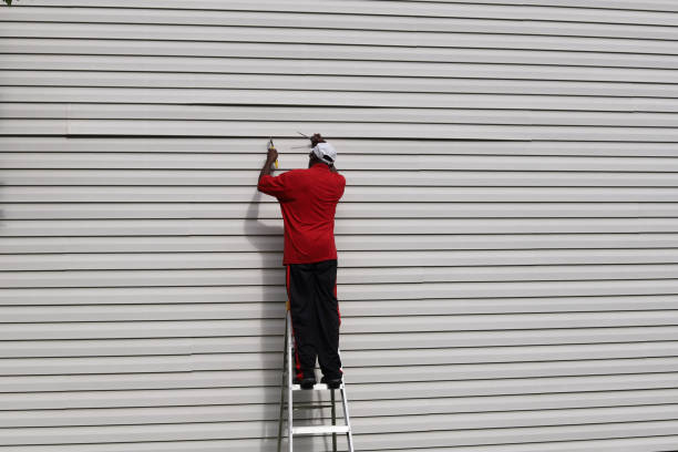 Best Residential Vinyl Siding Installation  in Ocoee, FL