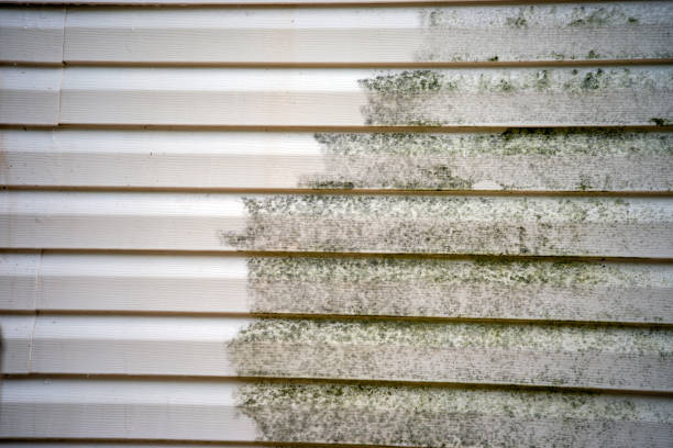 Best Stone Veneer Siding  in Ocoee, FL